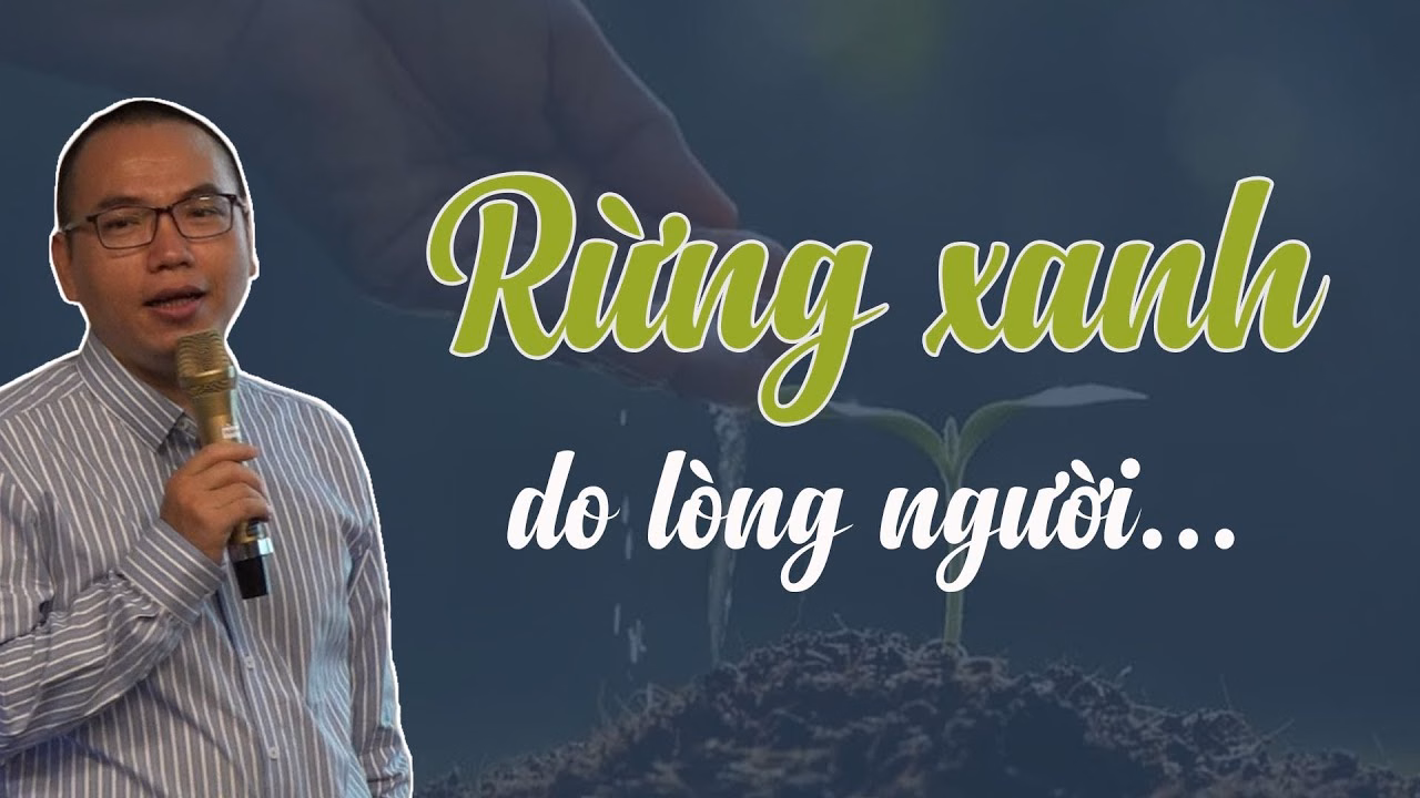 Làm Sao Để Rừng Xanh Trở Lại